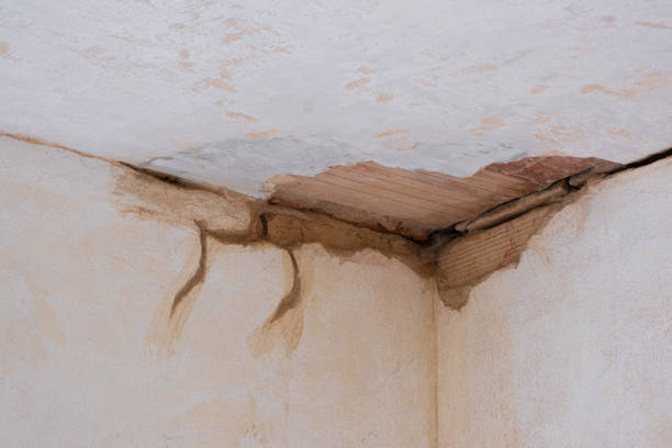 Best Local water damage restoration  in Patterson Tract, CA