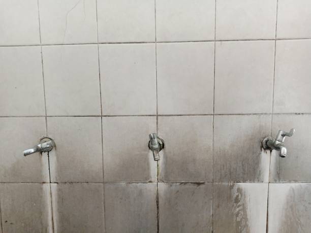 Best Flood damage cleanup  in Patterson Tract, CA
