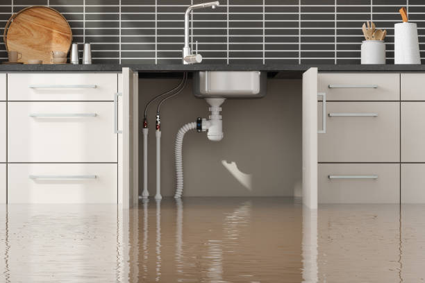 Best Water damage restoration specialists  in Patterson Tract, CA