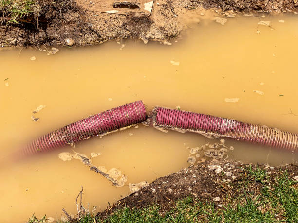 Best 24/7 water damage repair  in Patterson Tract, CA