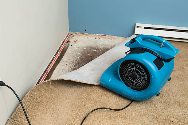 Best Flood damage cleanup  in Patterson Tract, CA